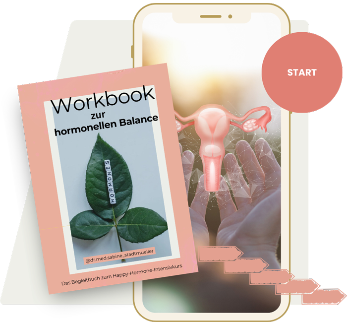 Happy Hormone Onlinekurs